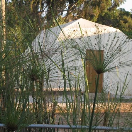 Yarok Az - Ecolodge Farm Ilaniya 部屋 写真