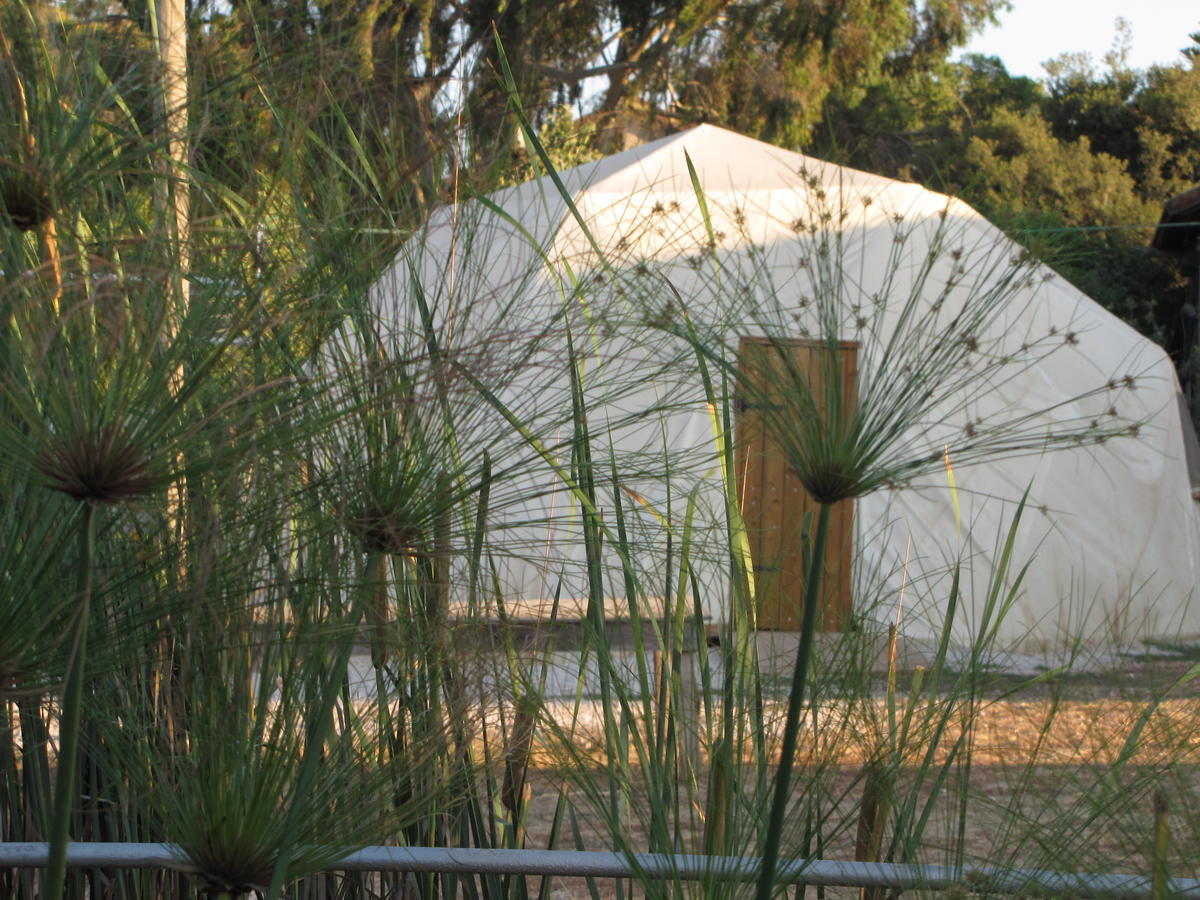 Yarok Az - Ecolodge Farm Ilaniya 部屋 写真