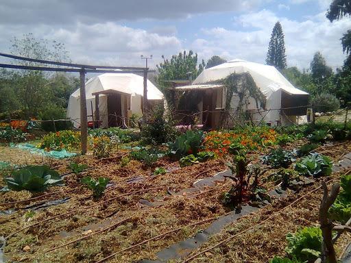 Yarok Az - Ecolodge Farm Ilaniya エクステリア 写真