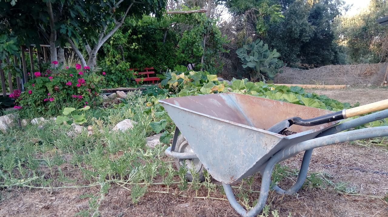 Yarok Az - Ecolodge Farm Ilaniya エクステリア 写真
